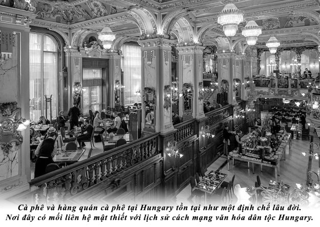 Coffee and the coffee shop in Hungary existed as a long-standing institution. This place had a close connection with the history of the Hungarian national cultural revolution.