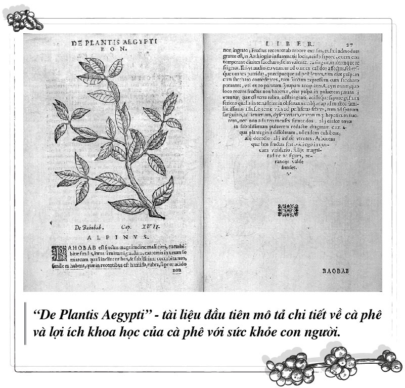 “De Plantis Aegypti” – the first document to detail and describe coffee and its scientific benefits to human health.