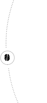 dot2023